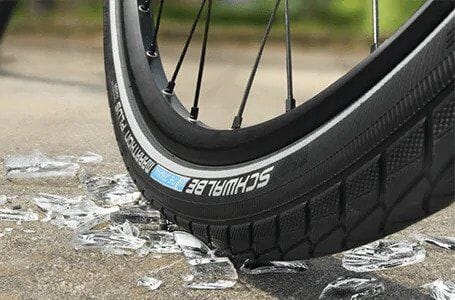 Schwalbe